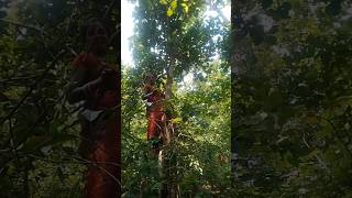 Hey prabhu #trading #funny #comedy #song #balaram all in one #viral #vlog ..