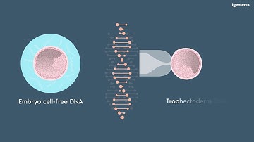 Multicenter prospective study of concordance between embryo cell-free DNA and trophectoderm biopsies