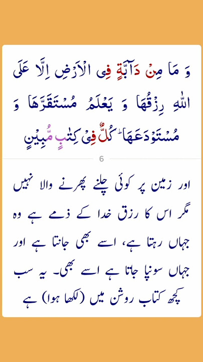 Surah Hud Ayat 06