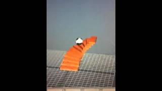 Ziplayan top screenshot 2