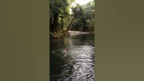 Rio la Barrigona