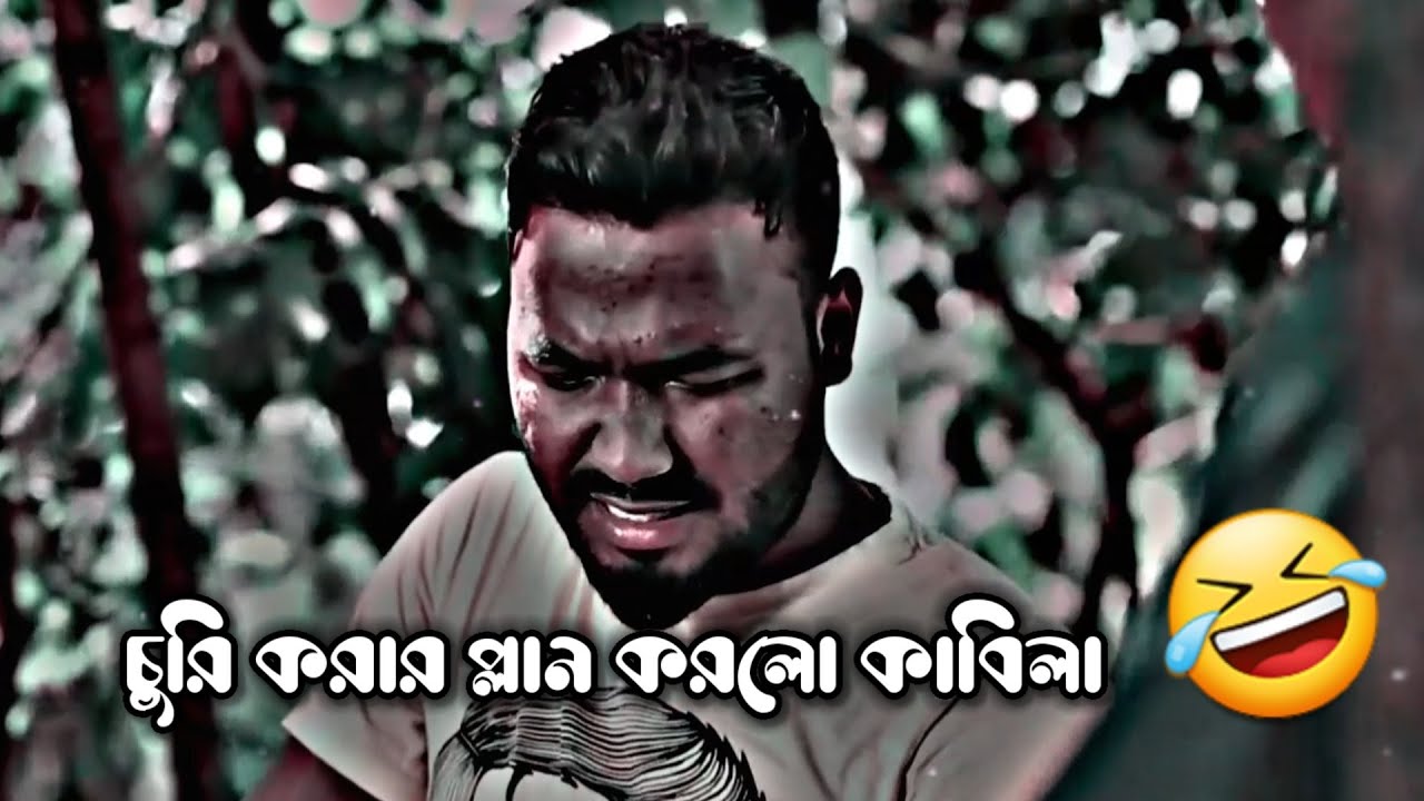 Bachelor Funny Video bachelor-funny-video