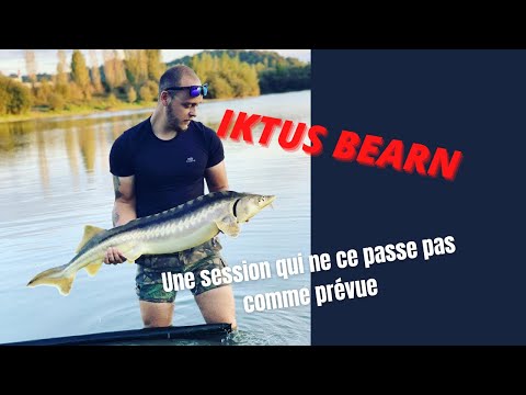 IKTUS BEARN :