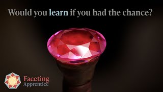 Celebrity Would you learn to RECUT an oval? Profile