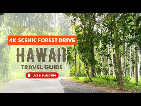 4K Scenic Drive in Kaneohe  | Hawaii Travel Guide | Road Trip