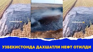 Узбекистонда дахшатли нефт отилди