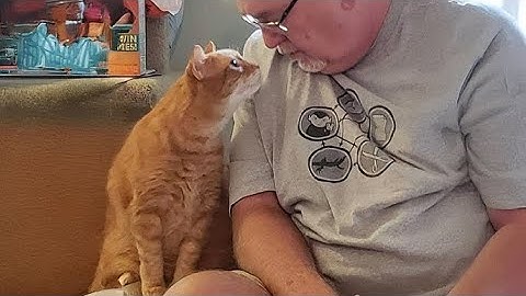 You Thought Cats Don’t Talk? This Sweet Cat Talks Love All Day ❤️