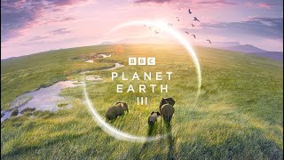 Planet Earth III | Prequel | BBC Nordic