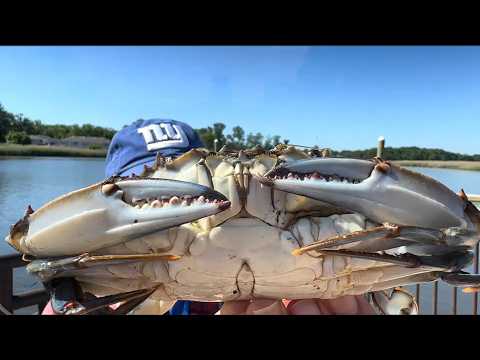 Crabbing New Jersey - Navesink River