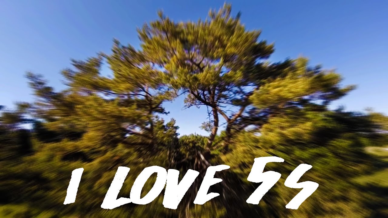 More 5S flying with the Shrike / Drone Freestyle