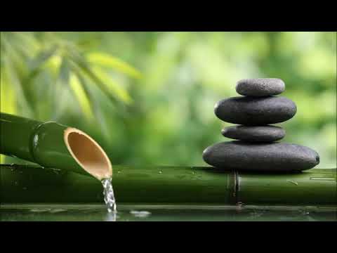 Kesintisiz - Bambu Çeşmesinden Su Sesi- Yağmur Sesi - Rain - Meditasyon -  Rahatlatıcı  - Su Sesi