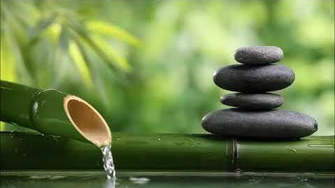 Kesintisiz - Bambu Çeşmesinden Su Sesi- Yağmur Sesi - Rain - Meditasyon -  Rahatlatıcı  - Su Sesi