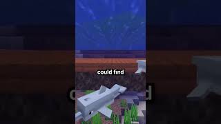The FASTEST Way To Travel In Minecraft | Badlion Client