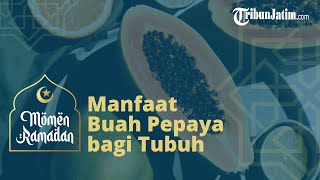 Manfaat Buah Pepaya Bagi Tubuh