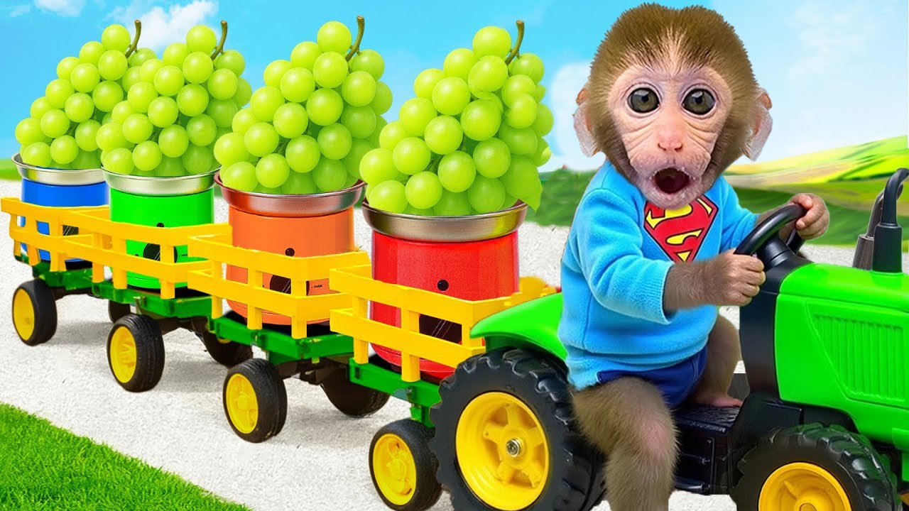 القرد بون بون يحصد الفاكهة في الحديقة ويلعب بسعادة مع القرد الصغير الظريف  - بون بون بالعربي