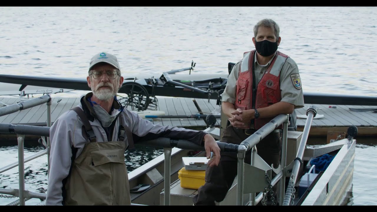 Juvenile American Shad Population Assessment in the Connecticut River