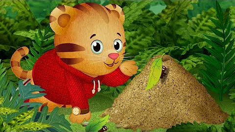 Celebrate Thankfulness with Daniel Tiger! | Daniel Tiger's Neighborhood | PBS KIDS