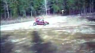Buggy barracuda