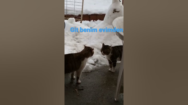 sen kime hava atıyon