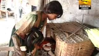 Aadapilla Aadapilla Private Video Song (way23gp)