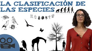 La Clasificación De Las Especies - Sistemática, Ideal Para Estudiar