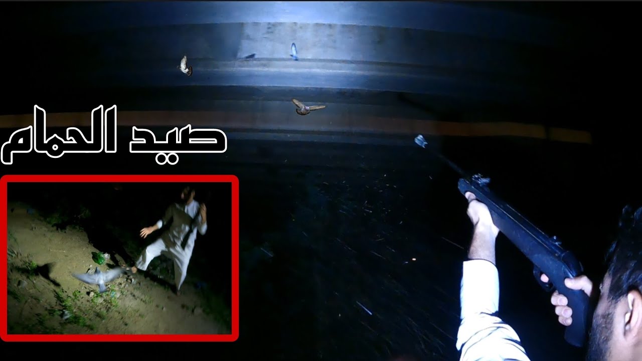 العيش في البريه الجزء الاول