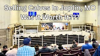 Selling Calves In Joplin, MO vs. Local Market: Was It Worth It??