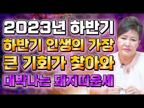   하반기 돼지띠운세 2023년 하반기운세 돼지띠에게 찾아오는 기회와 변화들 하반기 인생 가장 큰 기회가 찾아온다 대박나는 돼지띠 운세 77세 65세 53세 41세 돼지띠운세