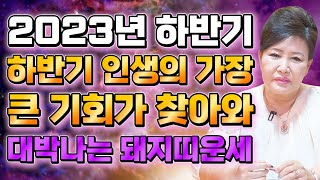 [하반기 돼지띠운세] 2023년 하반기운세 돼지띠에게 찾아오는 기회와 변화들! 하반기 인생 가장 큰 기회가 …