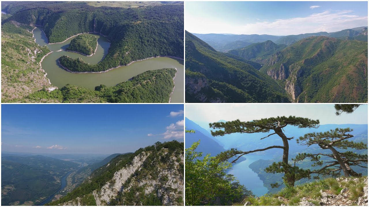 Da li ćete letovati u Srbiji?