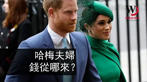 快看世界／淡出王室一年 哈利梅根的经济来源是？ - 天天要闻