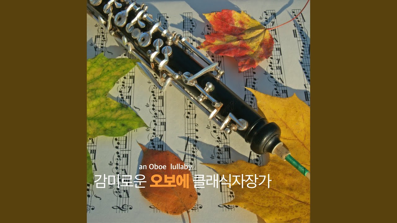 在 YouTube 上觀看「Auf Flugeln Des Gesanges Op.34-2 (Arr. for oboe by INDEX FINGER) (노래의 날개 위에 (Arr....」