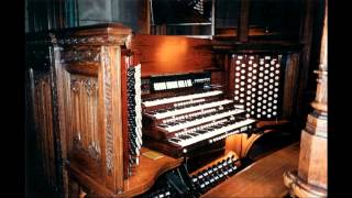 David Pizarro plays Elgar: "Salut d'Amour"