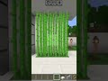Minecraft Insane House 😱 #minecraft #shortsfeed #shorts