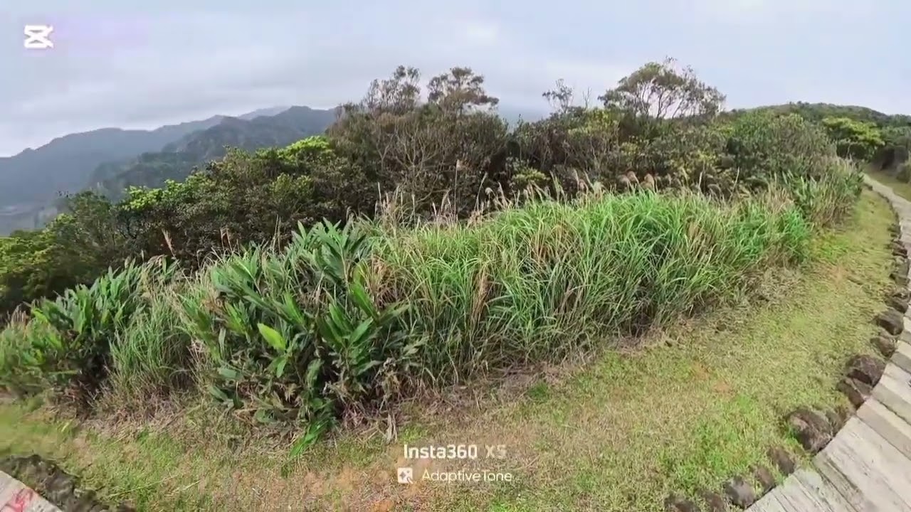 南子吝步道:十九
