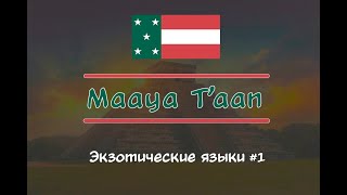 МАЙЯ - язык без времён и с местоименной шизой. Обзор юкатекского майя.