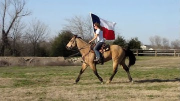 Newt Bronco Bueno - carrying flag - lead changes - Valley View Ranch