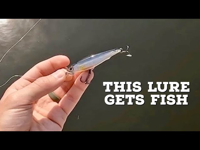 SPECKLED TROUT: LURE VS LURE CHALLENGE!!! Ep 1. NC