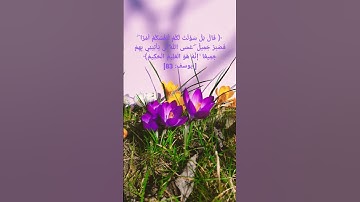 قراءة_تريح_القلب من سورة #يوسف للقارئ #اسلام_صبحي #جوهرة_القران_الكريم #اكسبلور #quran
