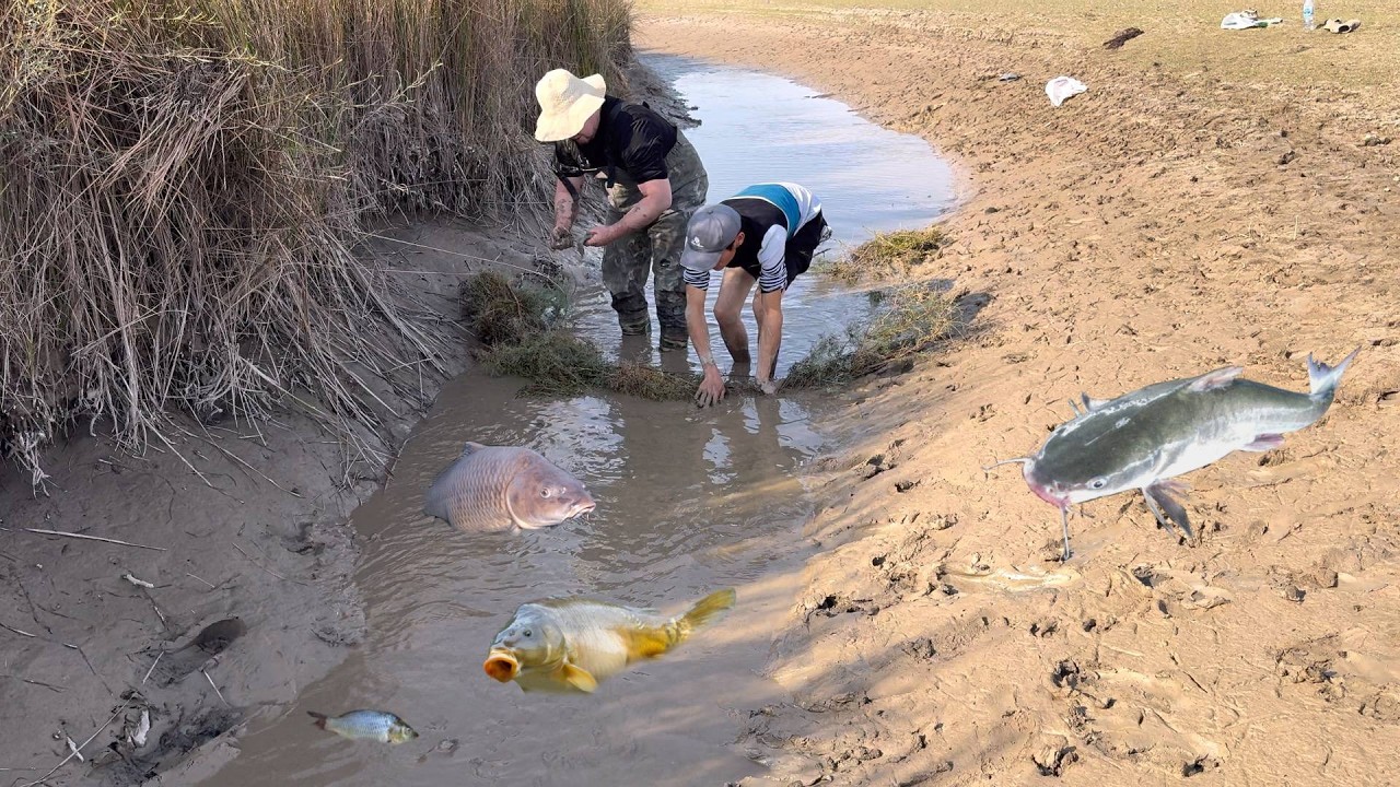 QO'LDA BALIQ OVLASH 2025 | TURTKUL