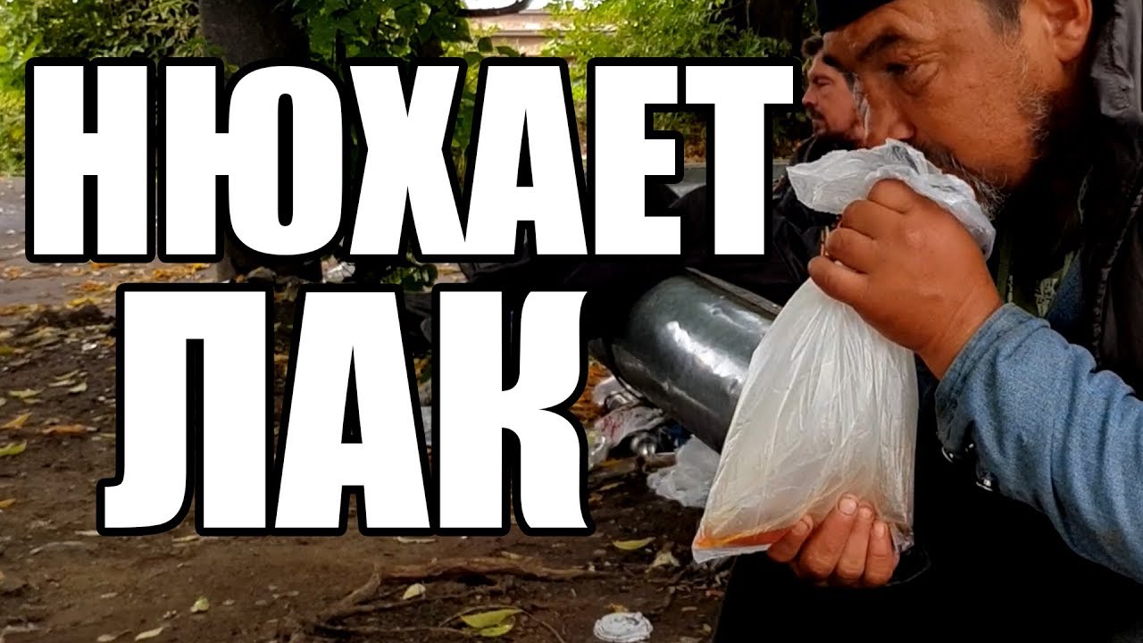 Каха нюхает машины Каха нюхает машины