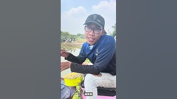 ĐÁNH GIẢI KHUI HỒ VỚI BÀI MỒI KHOAI LANG TRỨNG KIẾN #fishing