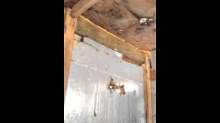 Hiding August 16 2004