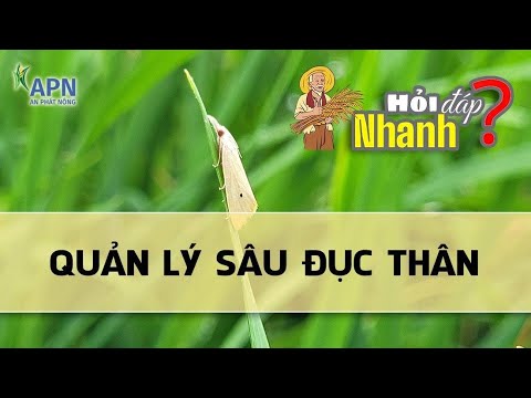 Video: Kiểm soát Mọt đục cành - Cách Quản lý Sâu đục cành Apple