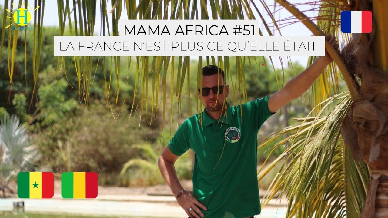 Il est important de faire appel à des professionnels qui maitrisent le terrain Sénégal 2024 #51