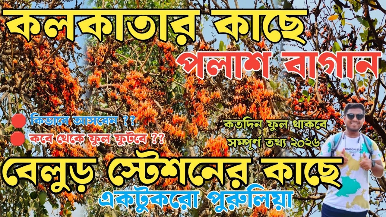 Belur Palash Garden 2026 | কলকাতার কাছেই পলাশ বাগান | Kolkata Palash Flower | Palash Flower Kolkata