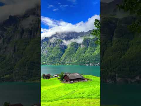 فما ظنكم برب العالمين رجب فتحي زقزوق