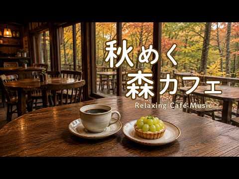 途中広告なし【カフェBGM】秋めく森カフェ｜秋の訪れを感じながら過ごす癒しのカフェ｜作業用・読書・リラックス・cafe music
