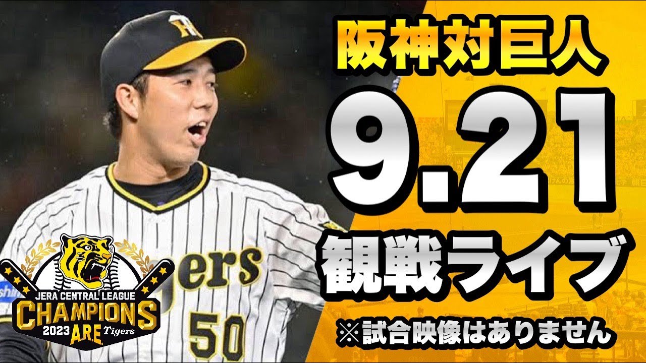 阪神タイガース 甲子園 チケット ブリーズシート3枚 6月27日(日) 阪神タイガース 甲子園 チケット ブリーズシート3枚 6月27日(日)