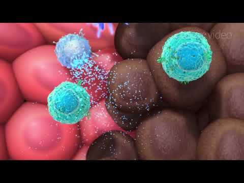 სიმსივნის იმუნოლოგია და იმუნოთერაპია